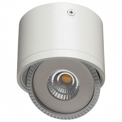 Накладной светильник Arte Lamp A4105PL-1WH