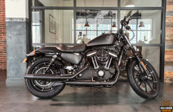 Iron 883 (XL883N) Harley-Davidson® Sportster® 2020
