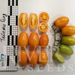 Томат Тейсти Голд F1 (50шт) Витагрин Профи