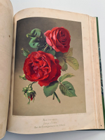 "Nestel`s Rosengarten. [  Сад роз Нестела]". E. Schweizerbartsche Verlagshandlung. 1869г.