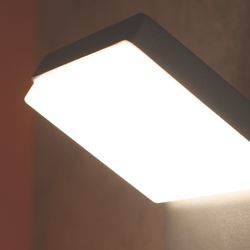 7045 Настенный уличный светильник ALPINE