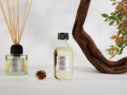 Наполнитель для диффузора Lacrosse, Wood&Tonka, 250 мл