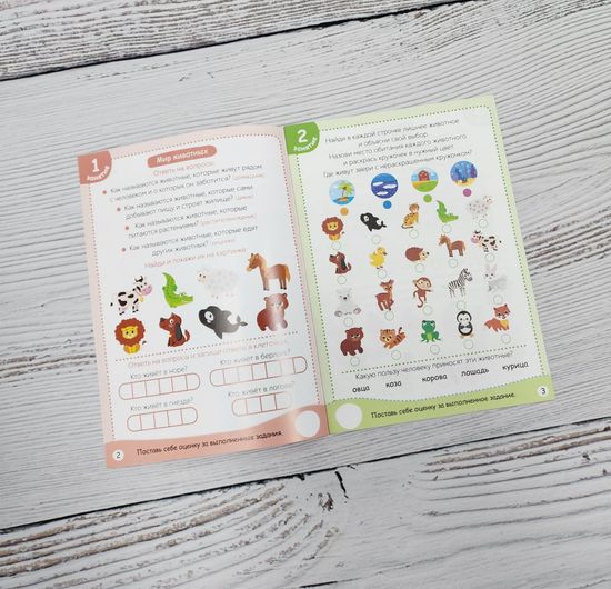 Набор развивающих книг для детей, 13 шт