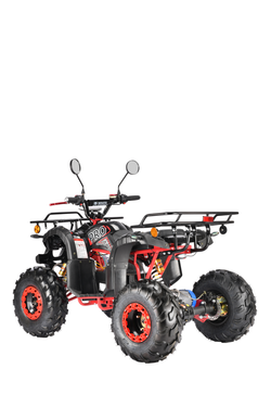 Электроквадроцикл White Siberia PRO SNEG 3000W Черный