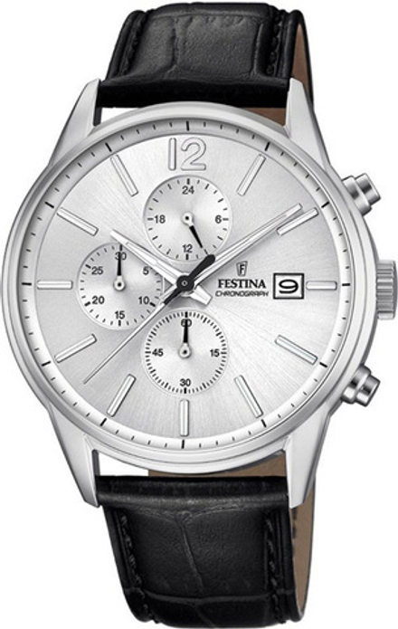 Мужские наручные часы Festina F20284/1