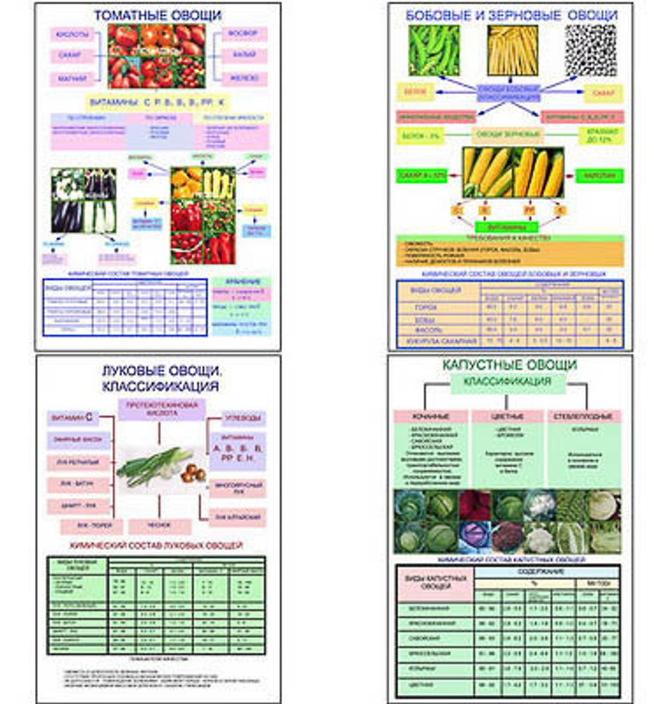 Плакаты ПРОФТЕХ &quot;Классификация овощей&quot; (11 пл, винил, 70х100)