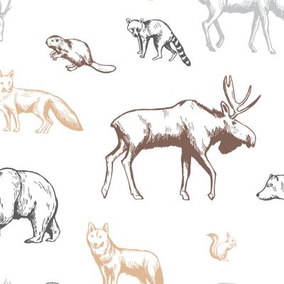 лесные животные