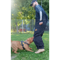 Штаны от костюма «Ring Sport dog»