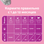 Влажный корм для котят Whiskas паштет из курицы 75 г