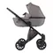 Коляска ANEX e/type 3 в 1 (et-03A) gothic