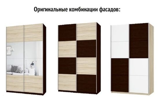 Шкаф-купе ПРАЙМ Дуо ДЗ