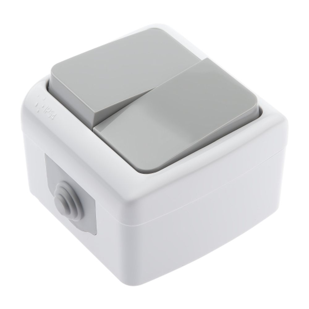 Выключатель Intro Atlantic 5-104-03 двойной, 10А-250В, IP54, открытой установки, серый