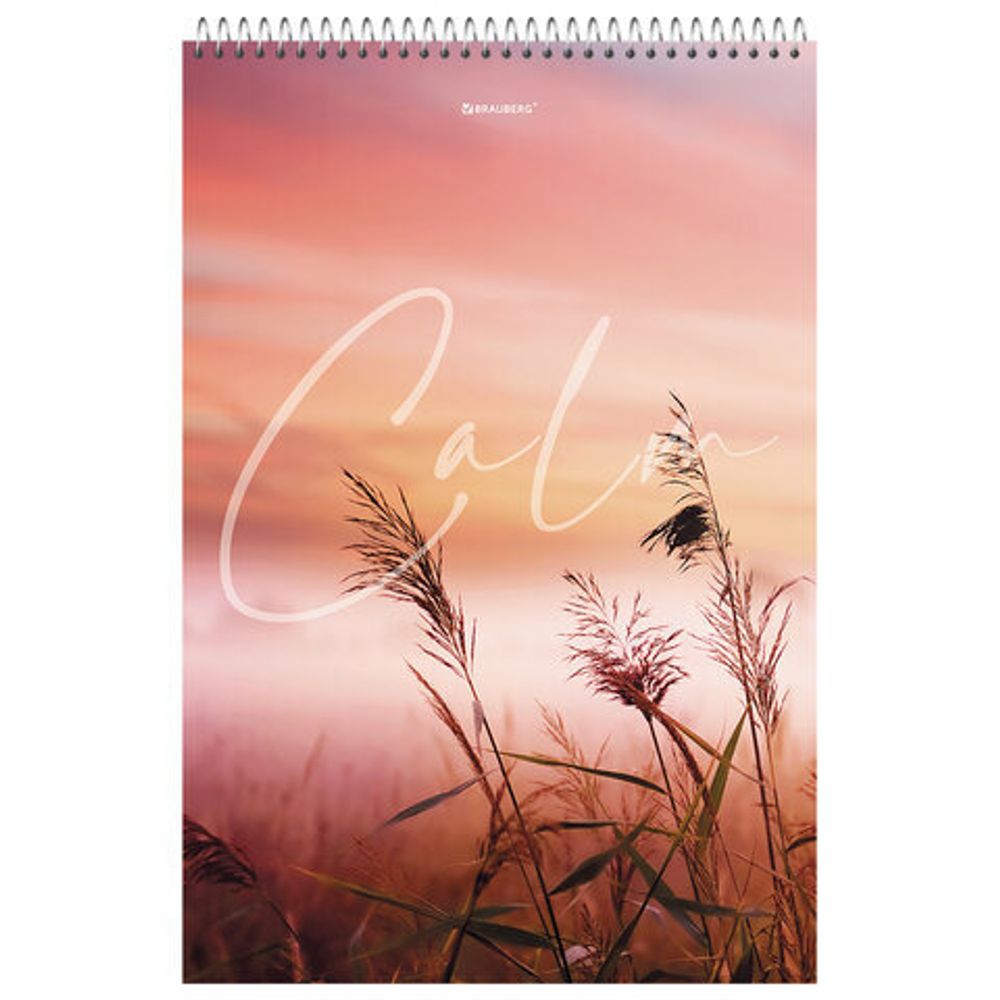 Блокнот БОЛЬШОЙ ФОРМАТ А4 198х297 мм, 80 л., гребень, жесткая подложка, клетка, BRAUBERG, "Calm", 114357