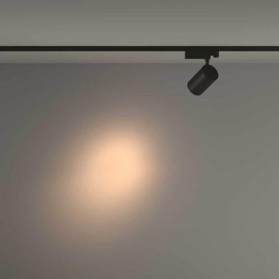 Трековый светильник Maytoni Technical TR029-3-26W3K-S-B