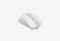 R90PLUSGREUISHWHITE_0226526101215