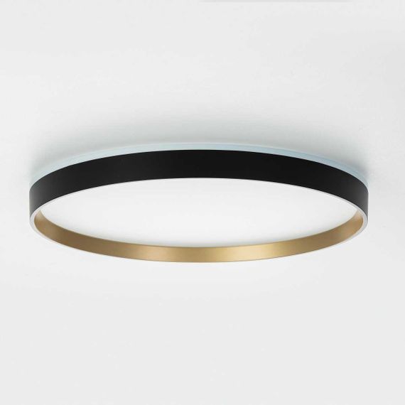 Потолочный светильник Citilux ETALON CL750401R