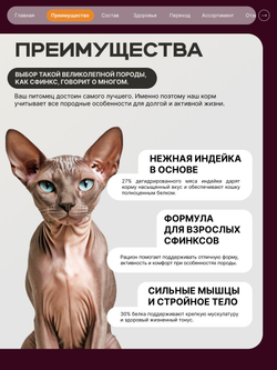 Корм сухой для кошек породы Сфинкс, с индейкой, 2 кг, QUATTRO