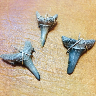 Амулет "Зуб акулы", зуб ископаемой акулы