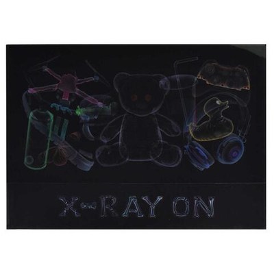 Папка для тетрадей А4 1 отделение, пластиковая "Рентген" (Феникс+)