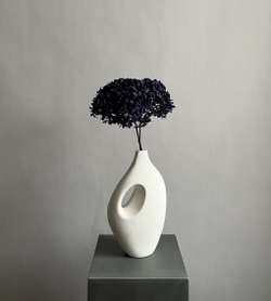 Гортензия стабилизированная фиолетовая