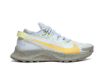 Кроссовки Nike Pegasus Trail 2 (Женская размерная сетка)