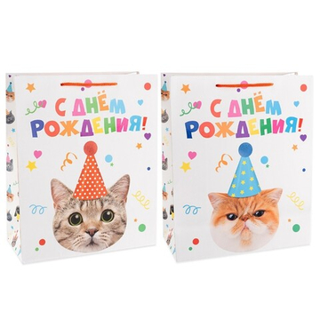 Подарочный пакет «Котик в колпачке», лаковый в трех размерах