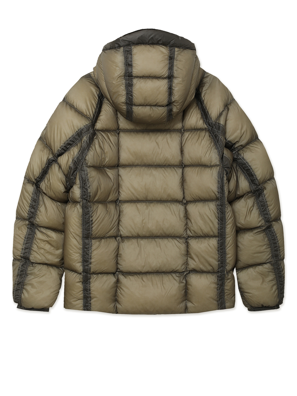Мужской Пуховик In Dd-shell