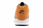 Кроссовки Nike Air Wildwood Acg