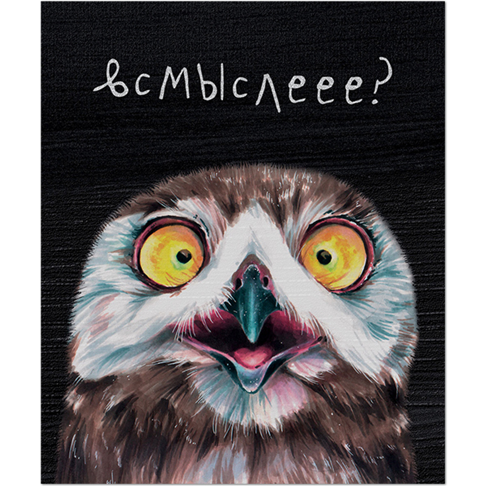 НОВИНКА! Тетрадь общая 48 листов на скрепке "Эмоциональные совы"