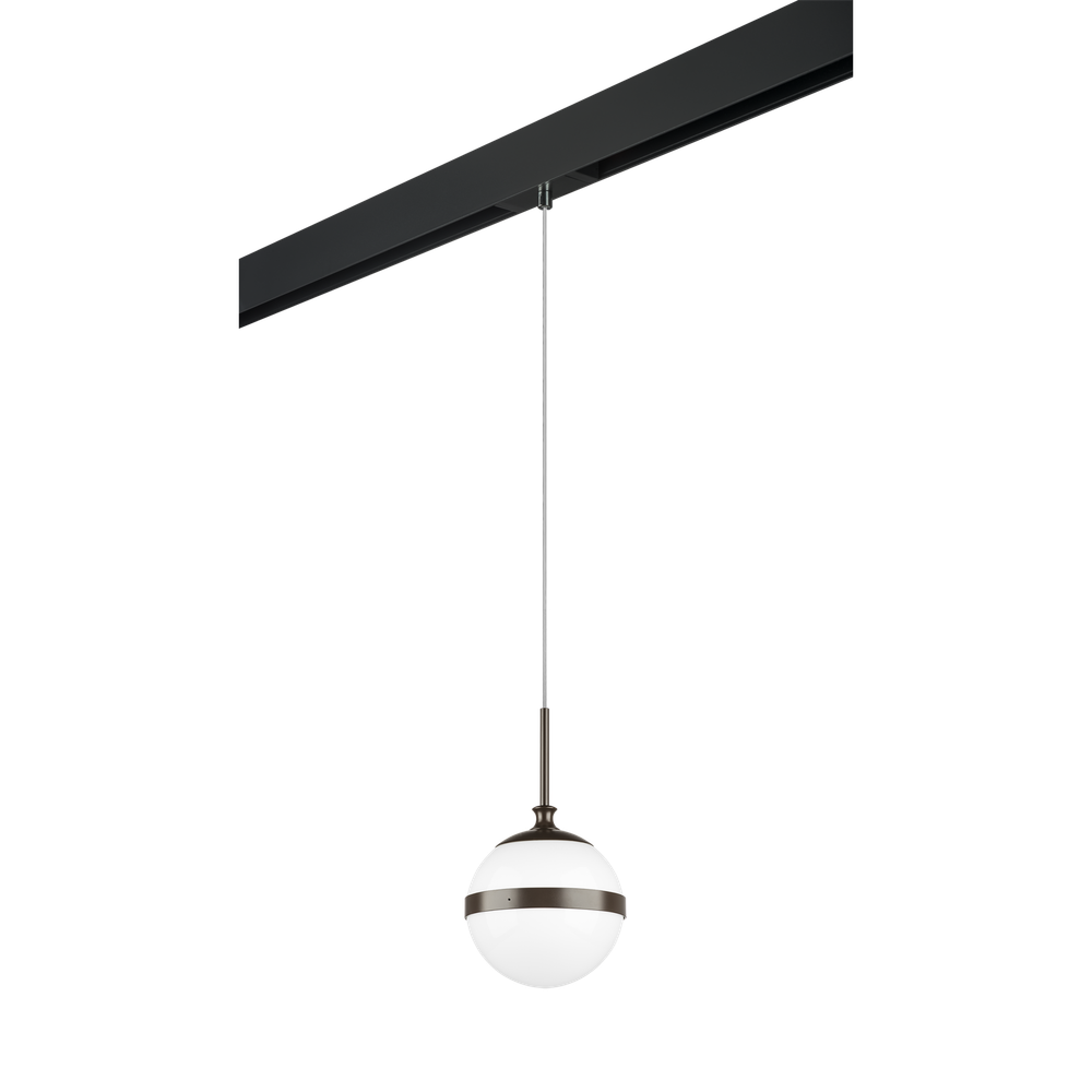 Трековый светильник Lightstar Globo PRO813117