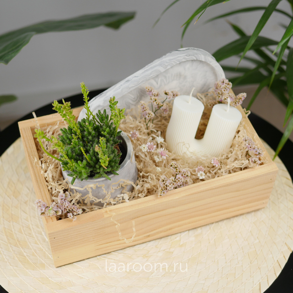 Подарочный бокс суккулент + свеча №3