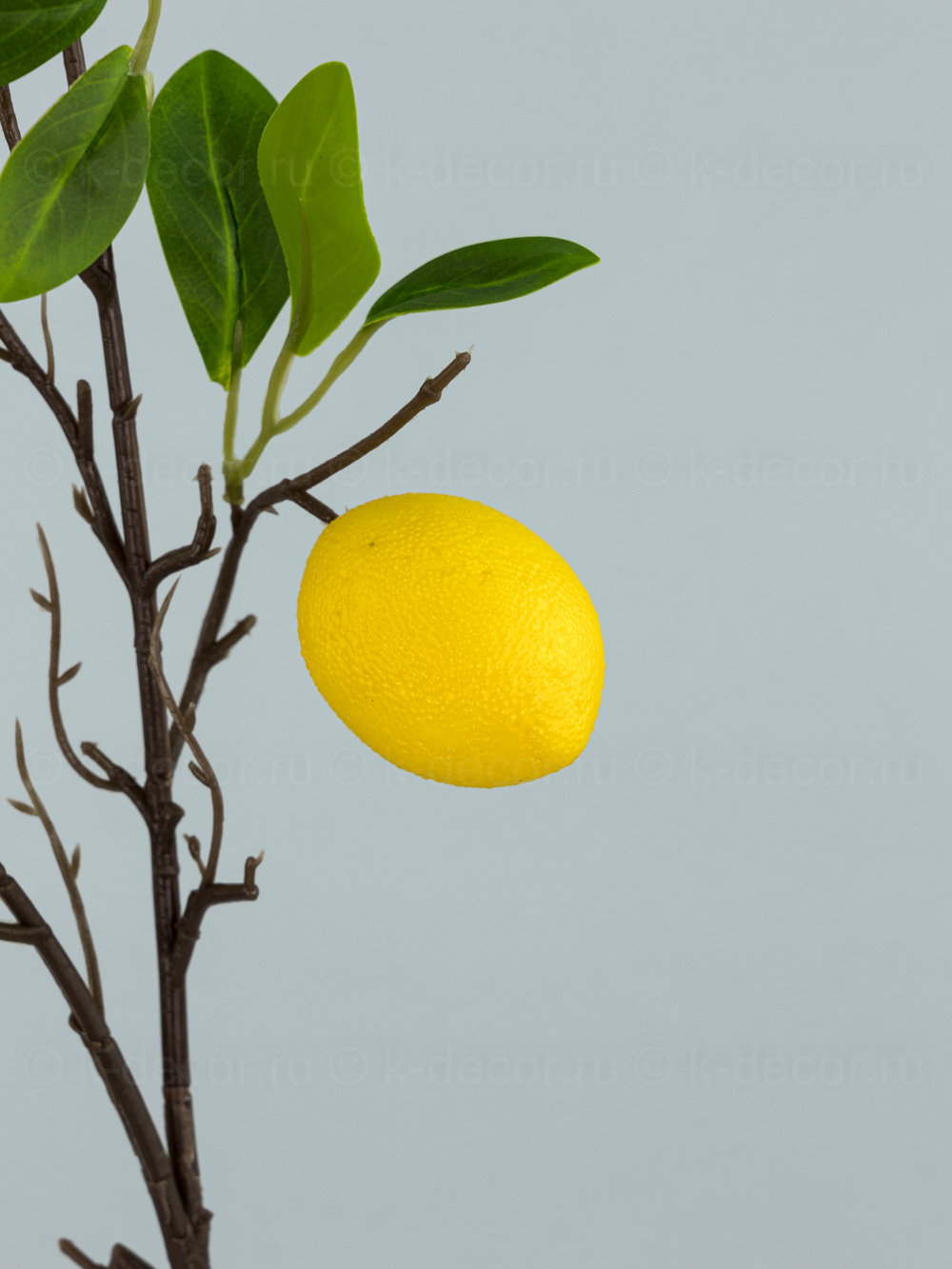 Ветка Лимон Египетский