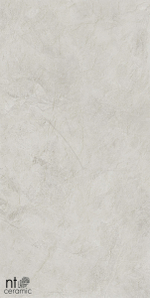Керамогранит NTceramic Granite NTT99612L Obelisk Ash 1200*600*8.5мм лаппатированная