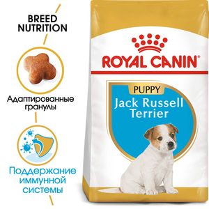 Корм для щенков собак породы терьер Джека Рассела, Royal Canin Jack Russell Terrier Puppy