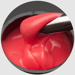 вишня опция