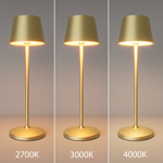 Аккумуляторный светильник Maytoni Nook MOD494RL-L1BSK