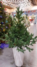 Искусственная ель на ножке «Датская» (хвоя литая) 180 см / 1,8 м