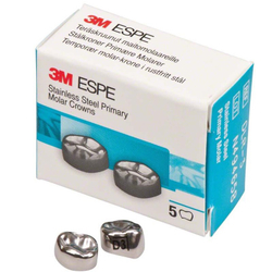 Первый нижний правый моляр, размер 3 (D-LR-3)