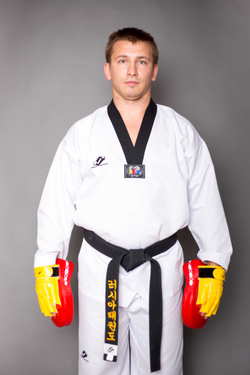 Лапа тренерская ProfSport для Тхэквондо