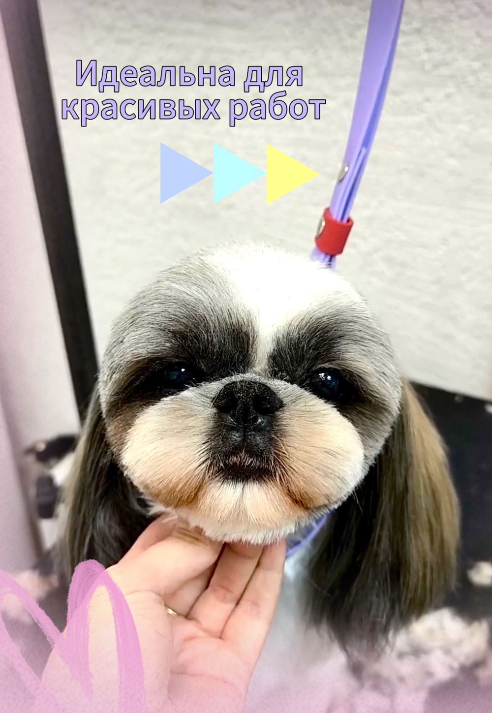 Ринговка груминга из биотана , ширина 15 мм, длина 50 см., зебра