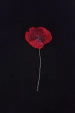 Лонгслив Гербарий Мак Черный