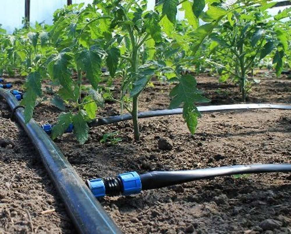 Поджимной фитинг для ленты капельной