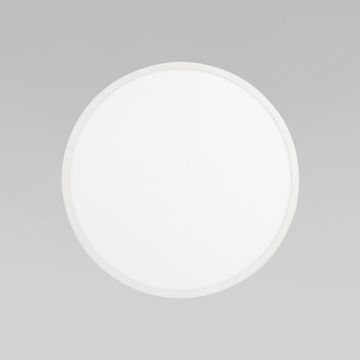 Уличный потолочный светильник LED 24W 3000К/4000К/6000К IP54 CCT+DIM 18797 белый Aqua TK Lighting