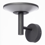 Citilux Dorn CLU05W LED Уличный настенный светильник Графит