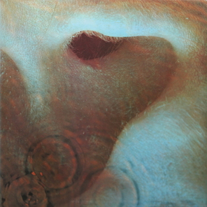 Pink Floyd / Meddle (LP)