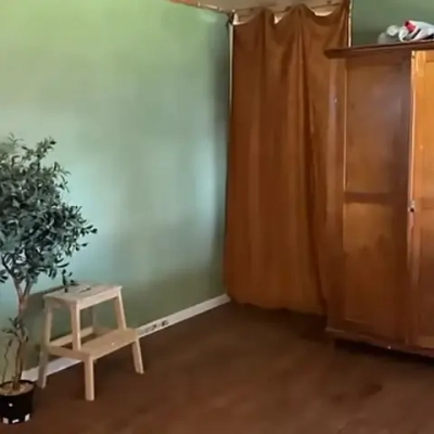 Краска цвет Мох (болотный зеленый) для мебели и декора Alice Gold 500 мл без запаха, минеральная (титановая, мраморная), высокоукрывистая, глубокоматовая, не требующая грунта и финиша