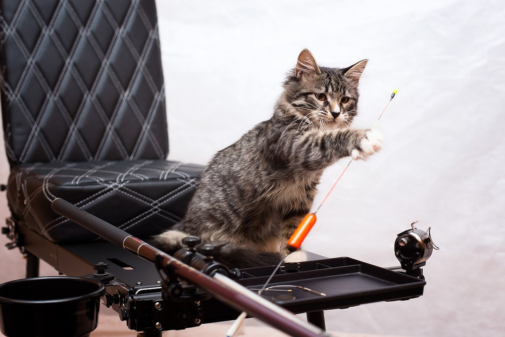 Красная энергия