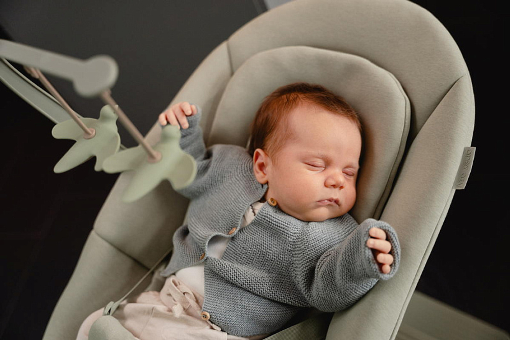 Стул-трансформер для кормления Anex Ozy june