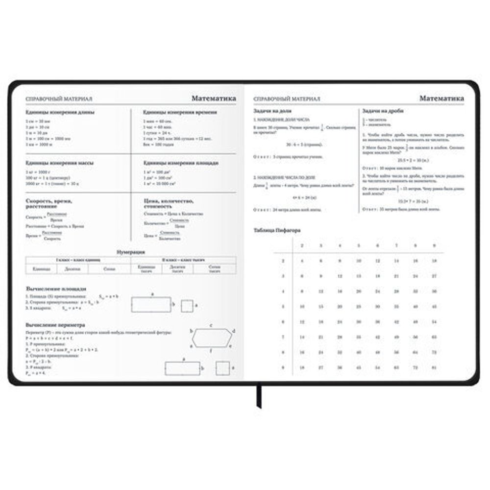 Дневник 1-11 класс 48 л., твердый, BRAUBERG, матовая ламинация, резинка, закладка-ляссе, с подсказом, "Элементы", 107242