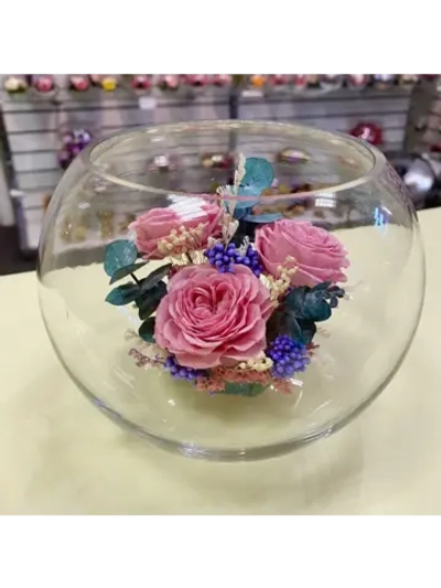 Натуральные пионы в стекле, вакуум